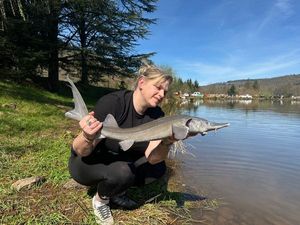 Sturgeon
