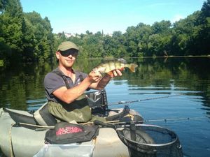 European Perch