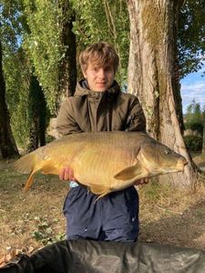 Mirror Carp