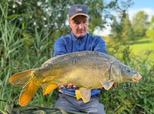 Mirror Carp