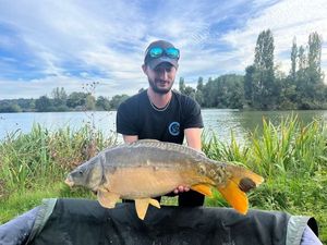 Mirror Carp