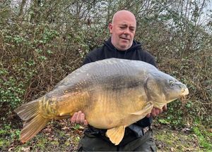 Mirror Carp