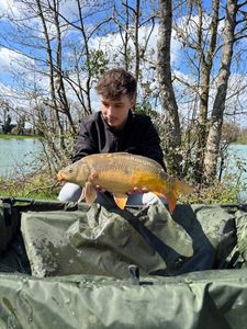 Leather Carp