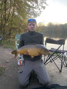 Mirror Carp