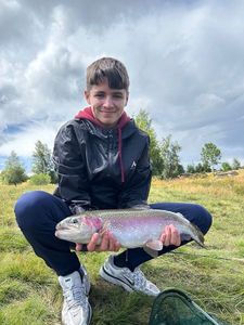 Rainbow Trout