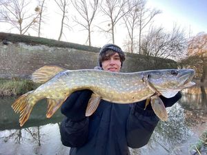 Northern Pike