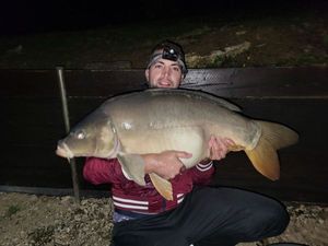 Mirror Carp