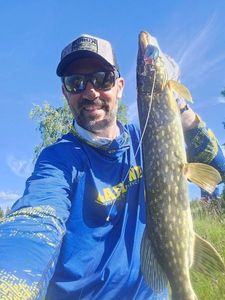 Northern Pike