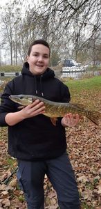 Northern Pike