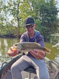Largemouth Bass