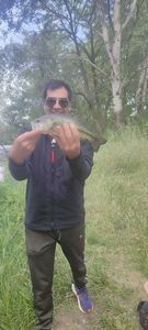 Largemouth Bass