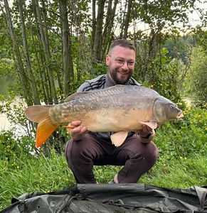 Mirror Carp