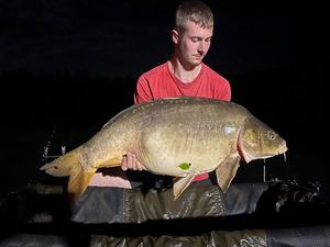 Mirror Carp