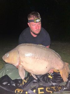 Mirror Carp