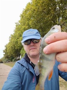 European Perch