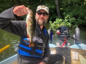 European Perch