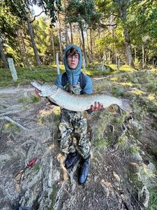 Northern Pike