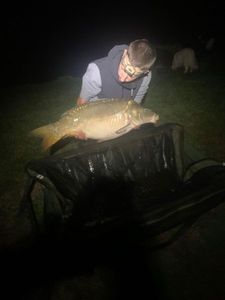 Mirror Carp