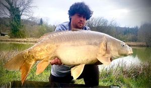 Mirror Carp