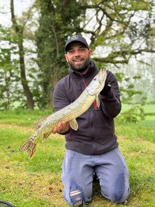Northern Pike