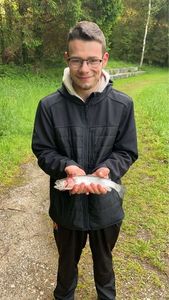 Rainbow Trout