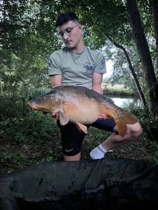 Mirror Carp