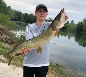 Northern Pike