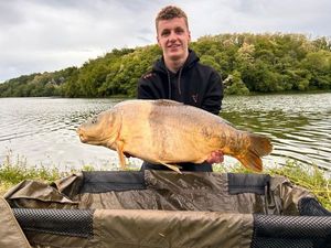 Mirror Carp