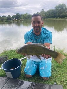 Tench