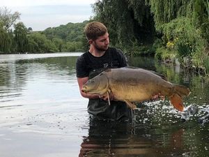 Mirror Carp