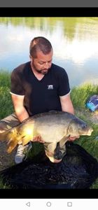 Mirror Carp