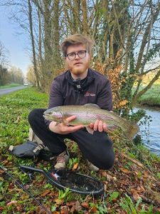 Rainbow Trout