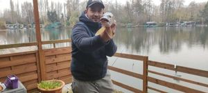 Northern Pike