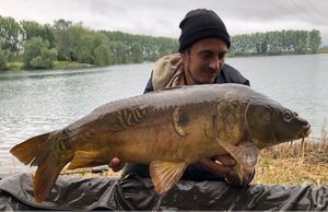 Mirror Carp