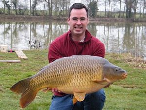 Common Carp