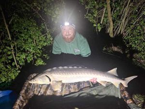 Sturgeon