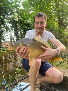 Mirror Carp