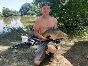 Mirror Carp