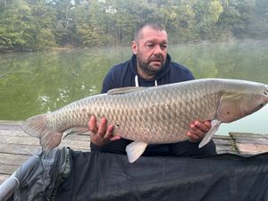 Silver Carp