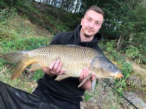Common Carp