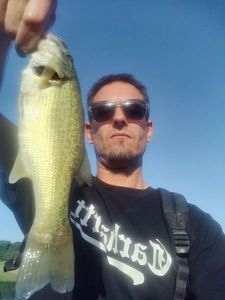 Largemouth Bass
