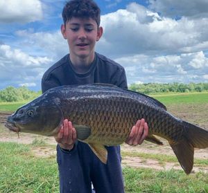 Common Carp