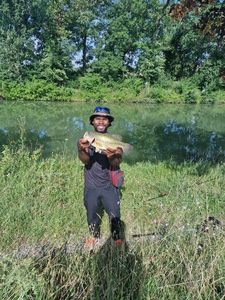Largemouth Bass