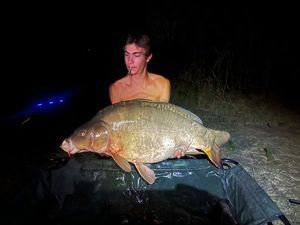 Mirror Carp