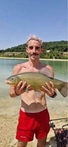 Tench