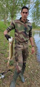 Northern Pike