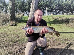 Northern Pike