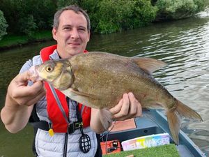 Common Bream