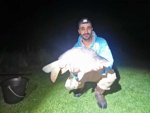 Mirror Carp