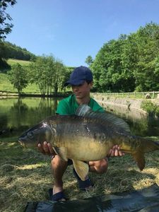 Mirror Carp